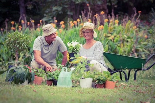 Garden hedge maintenance in Newington for residential properties