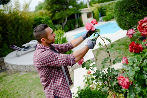 Professional gardening services in Newington for tidy outdoor spaces