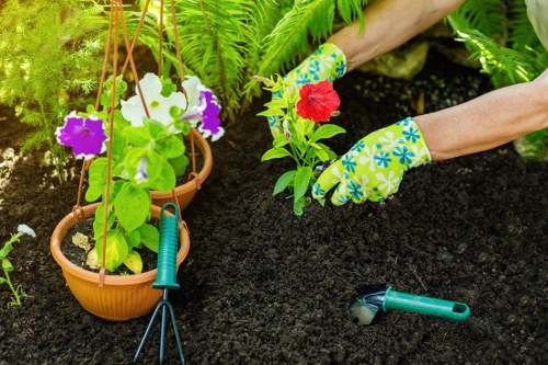 Lawn care and planting support for Newington gardens