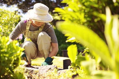 Aeration and overseeding for Newington lawn care