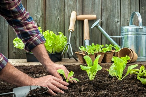 Hard landscaping and soft planting features used in Newington garden design