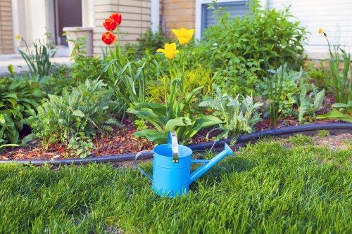 Local landscaping in Newington with lawns, shrubs, and pathways
