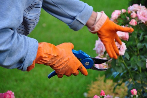 Garden maintenance risk awareness in practice