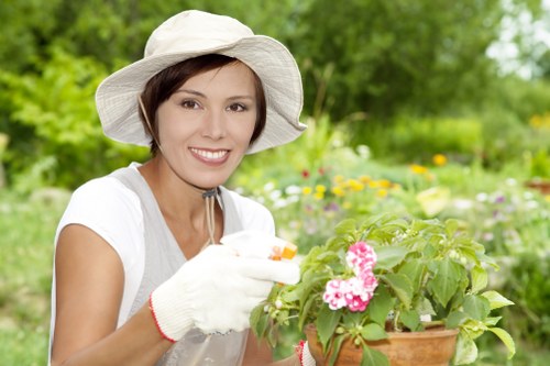 Regular hedge cutting in Newington to maintain healthy shrub growth