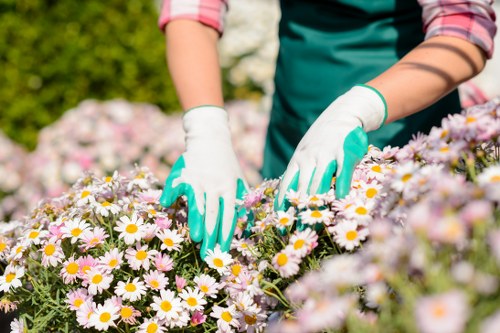 Professional handling of a gardening complaint