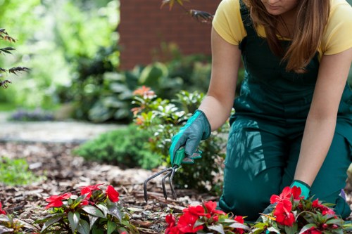 Final governing law and acceptance statement for gardening terms