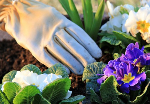 Safety checks before completing gardening work in Newington