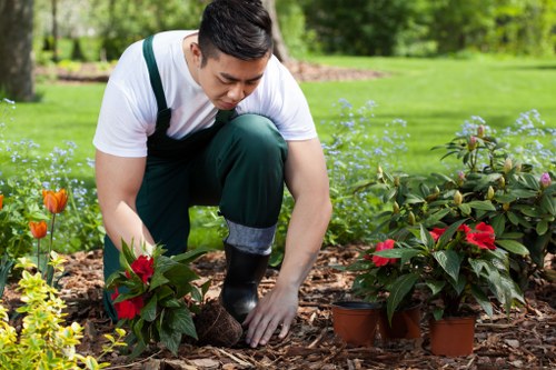 Seasonal garden maintenance in Newington with weed control and tidying