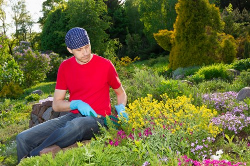 PPE and risk assessment for garden maintenance in Newington