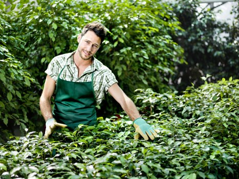Confidential reporting channels and safeguarding at Gardeners Newington