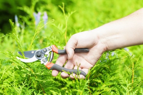 Local lawn maintenance work in a Newington residential yard