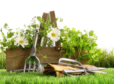 Planning a Newington garden layout with paths, borders, and structural planting