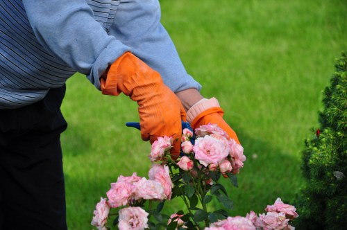 Garden waste and debris collected after clearance in Newington