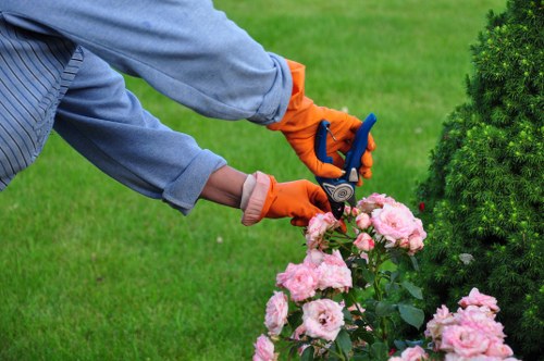Outdoor garden improvements for Newington homes and properties