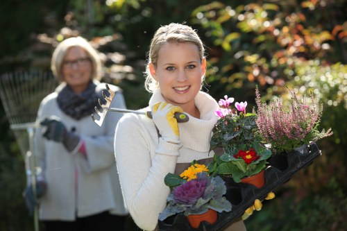 Seasonal garden care and planting by Gardeners Newington