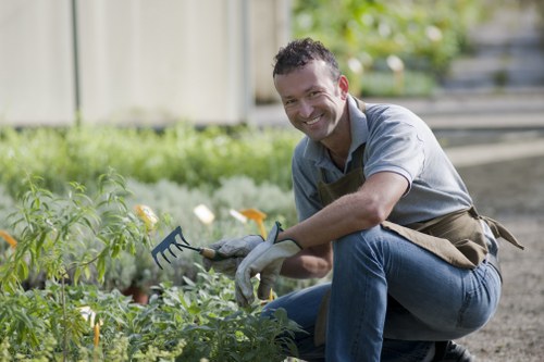 Professional garden upkeep in Newington with trimmed hedges and beds