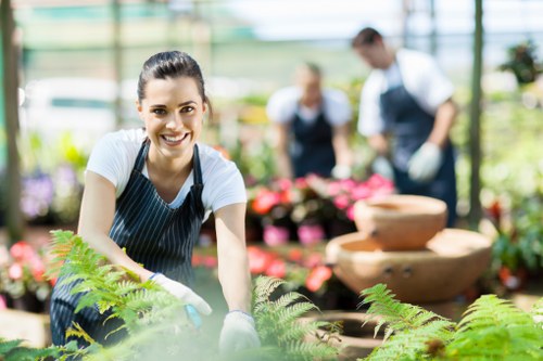 Newington garden maintenance with tidy lawns and planted borders