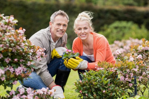 Pruning and plant care services for Newington outdoor spaces