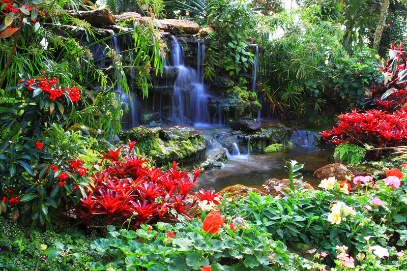 garden plants